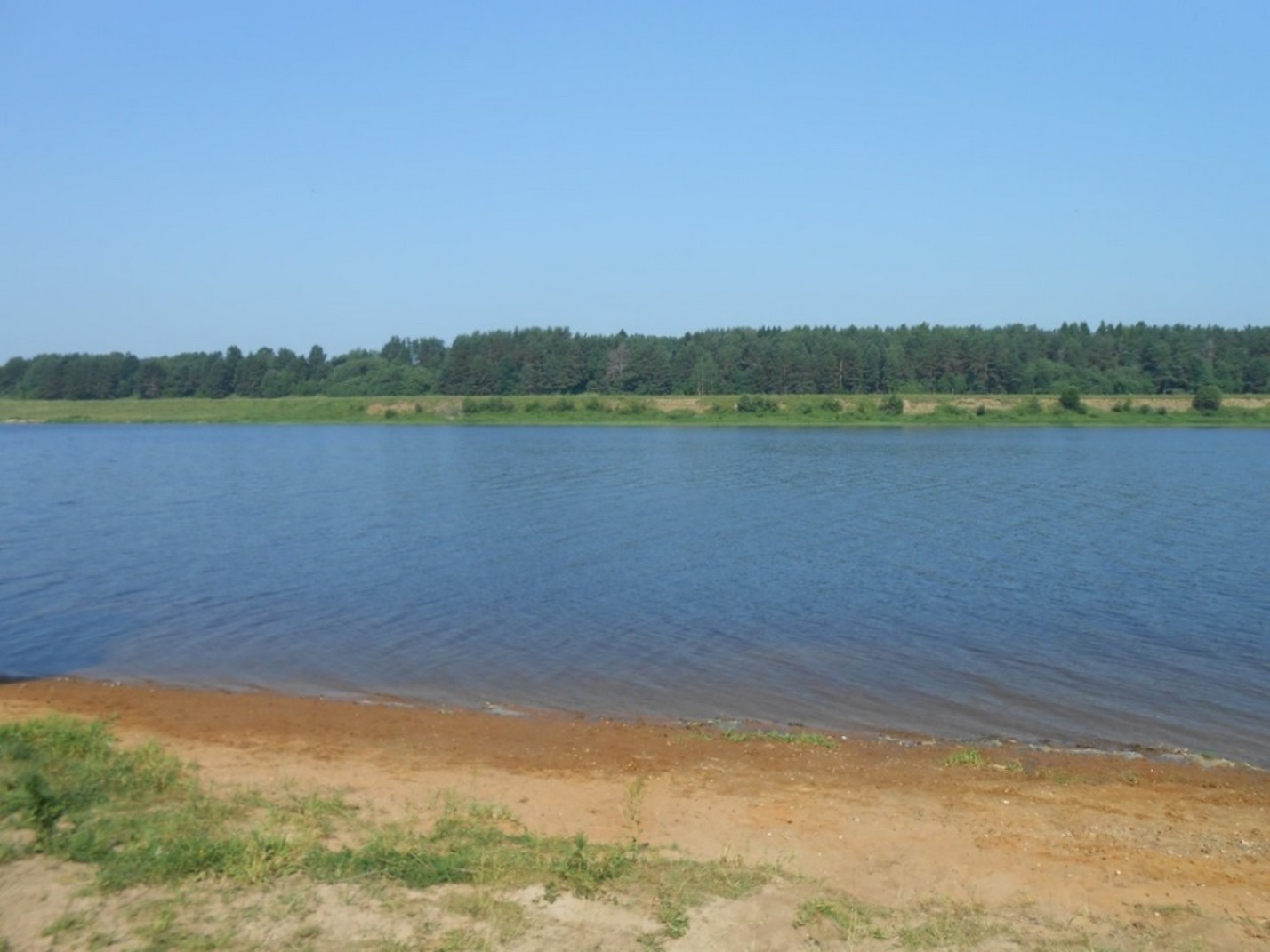 Берег реки Волга рядом с коттеджным посёлком "Прудище" - июнь 2013 г.